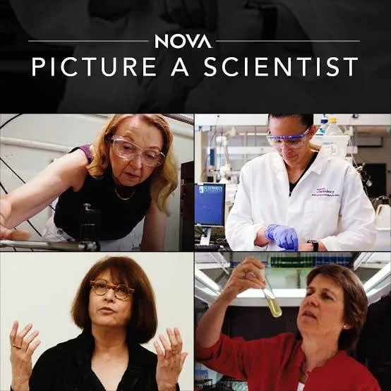 Picture a Scientist documentary poster